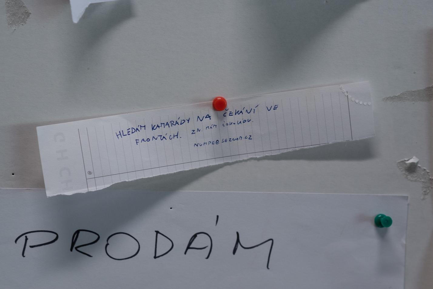 13_kviff_2