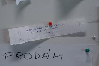 13_kviff_2