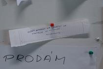 13_kviff_2