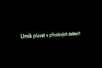Environmentální otázky