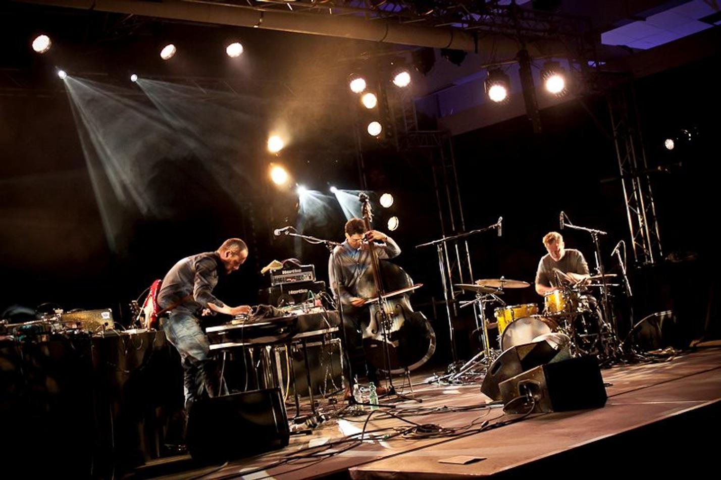 18_Trapist_Donaufestival_2015