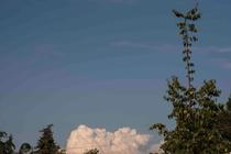 12_LFŠ5