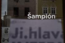 35_mfdf_ji-hlava_je_šampión