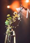 NOVOAMOR2