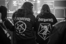 fans (2) (15)