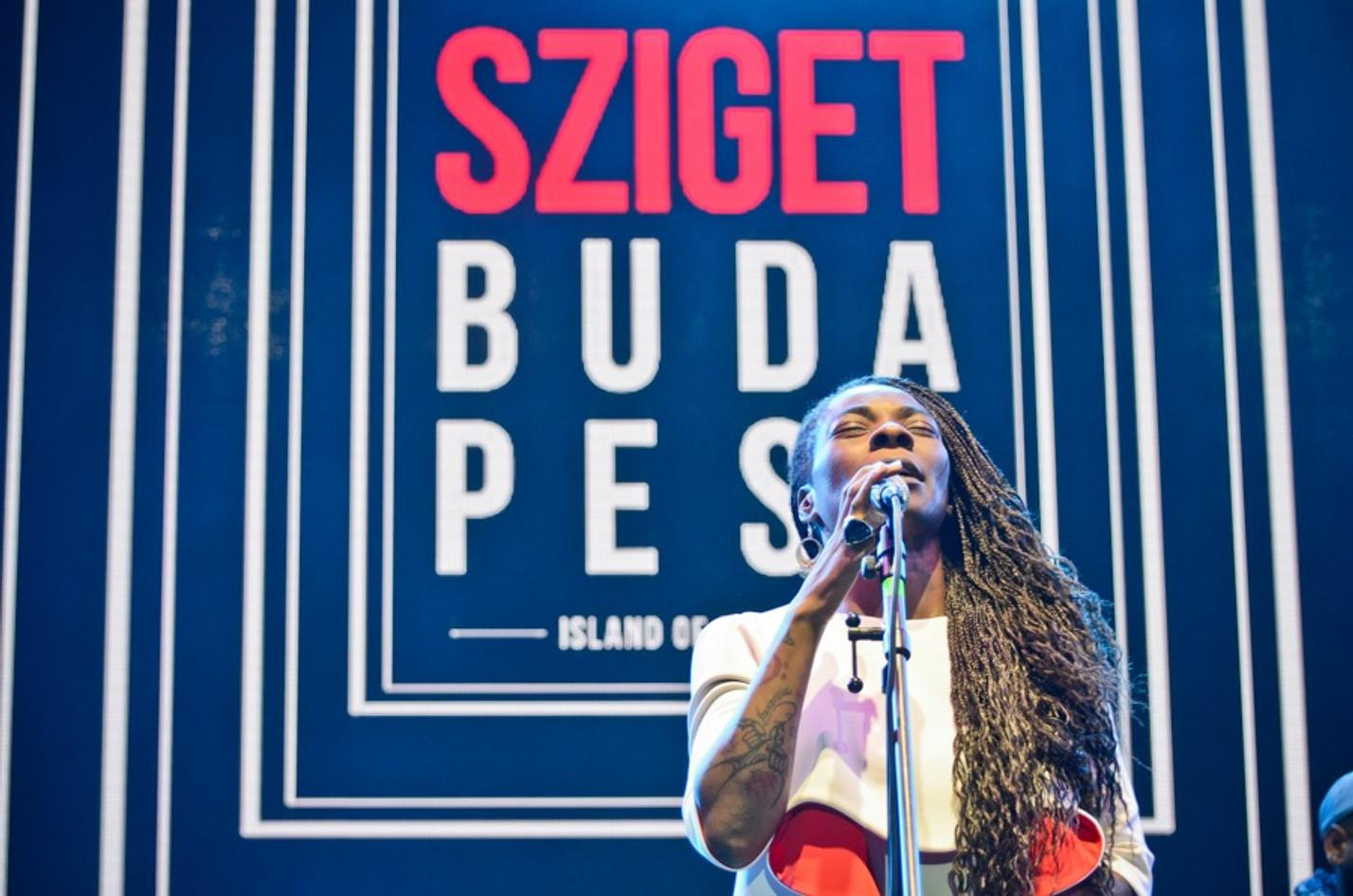 4887_buika