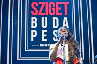 4887_buika