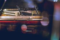 Ólafur_Arnalds (2)