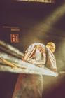 Show_Me_The_Body (6)
