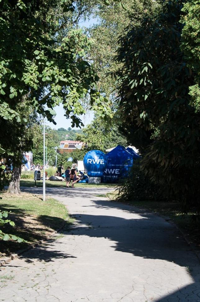 IMGP3123