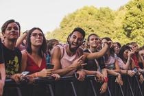 Fans (3)