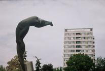volavka