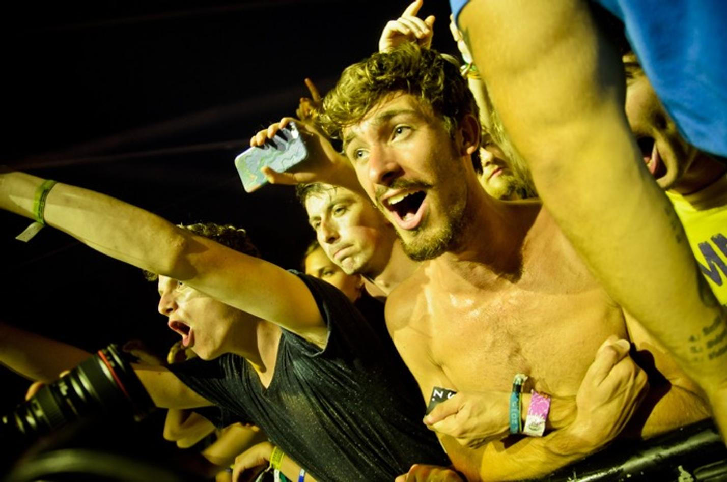 8898_foals