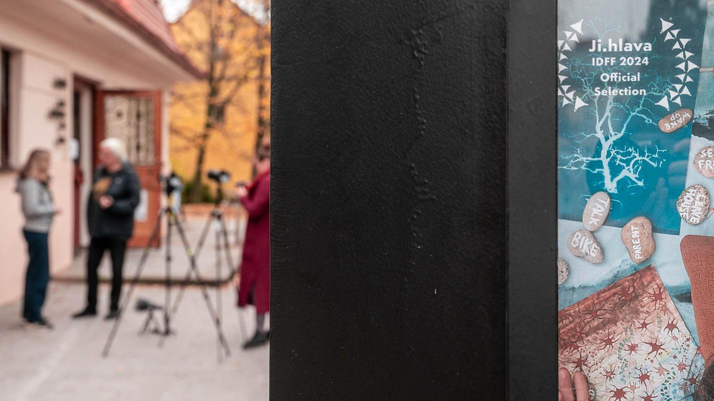 Mezinárodní festival dokumentárních filmů Ji.hlava 28