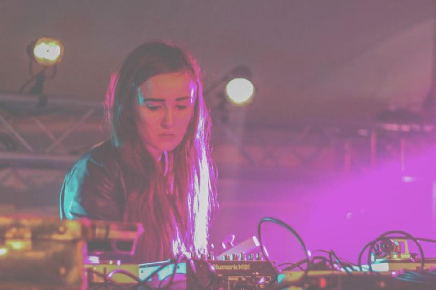 Creepy crawlers djs (4)