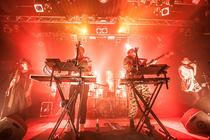 2jungle
