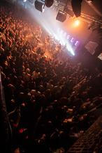 20jungle