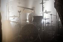 4jungle