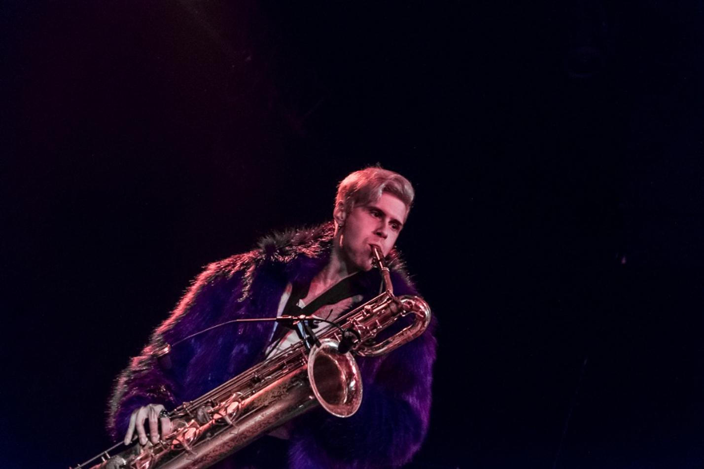 15_Too Many Zooz