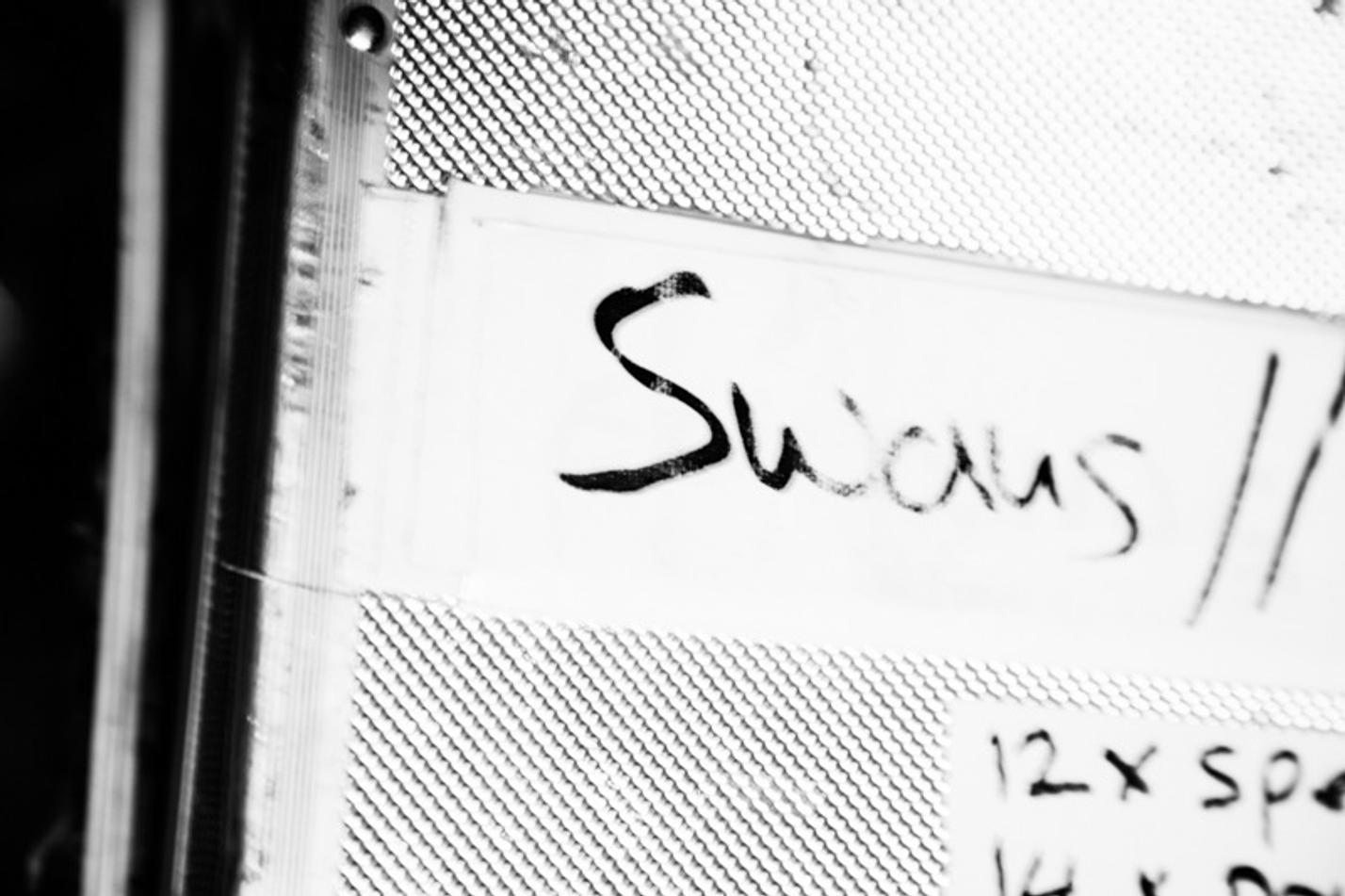 01_swans