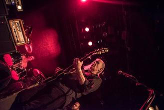 swans_04