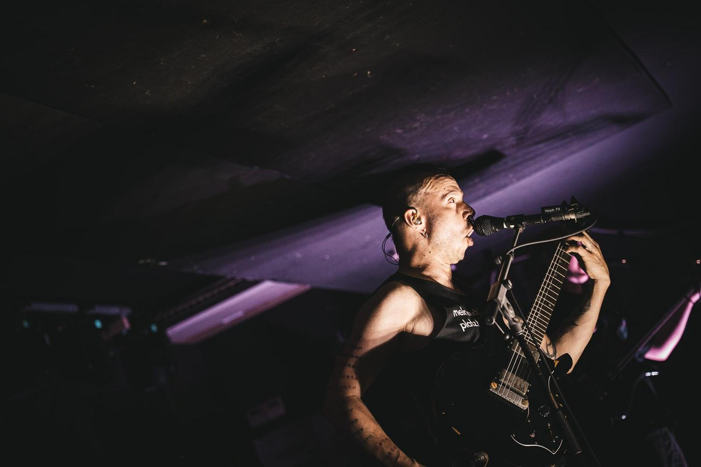 THE_HIRSCH_EFFEKT-1