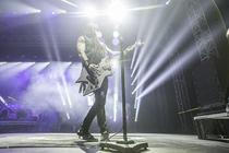 ffdp (2)