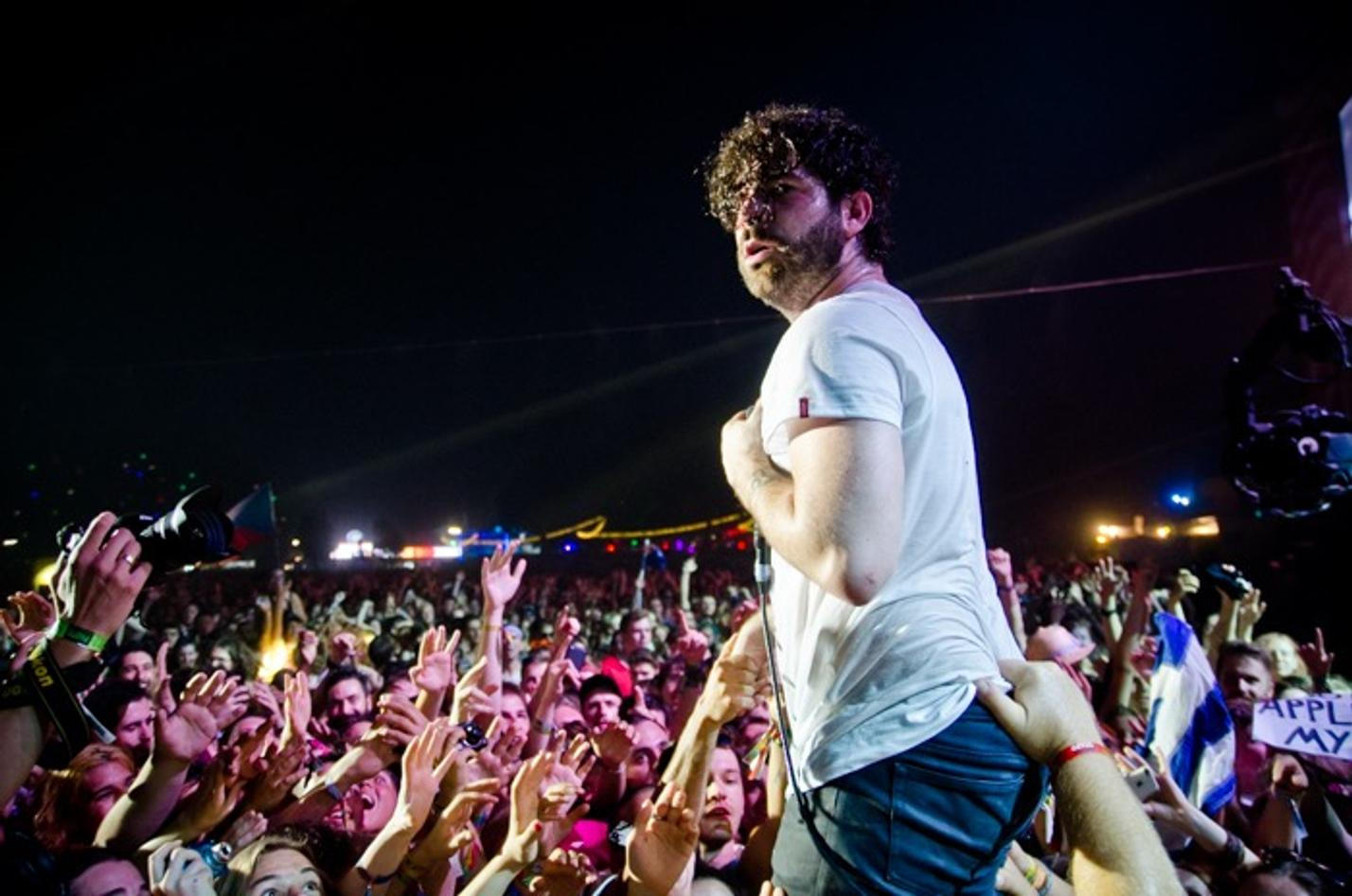 8916_foals