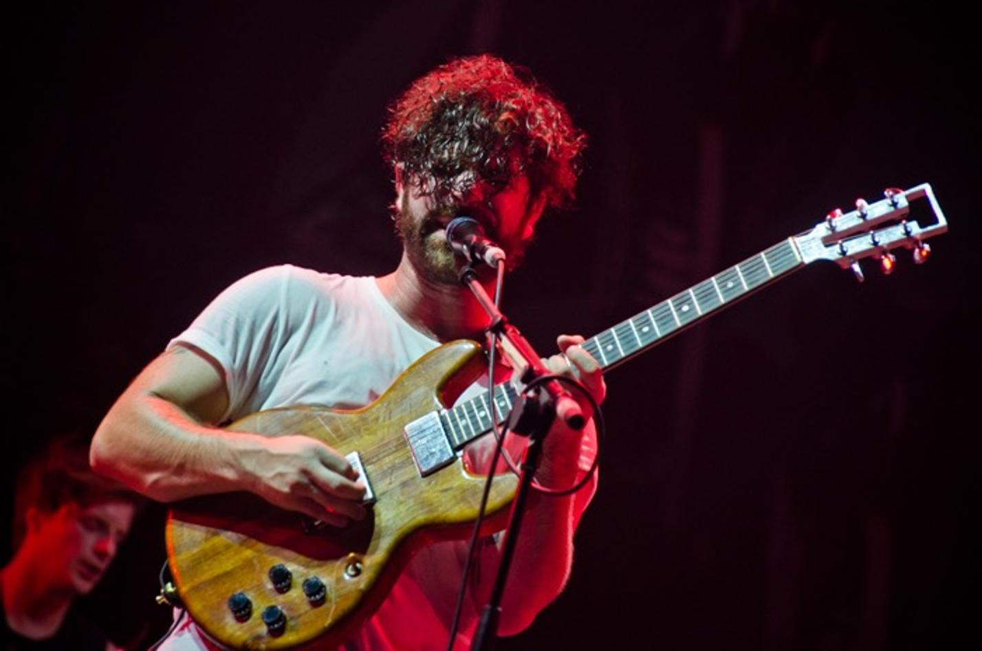 8807_foals