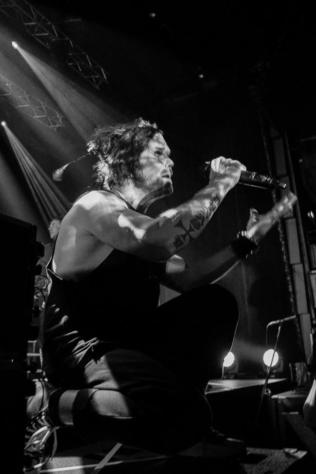 The Rasmus