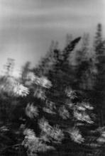 15_faith_no_more-00001736