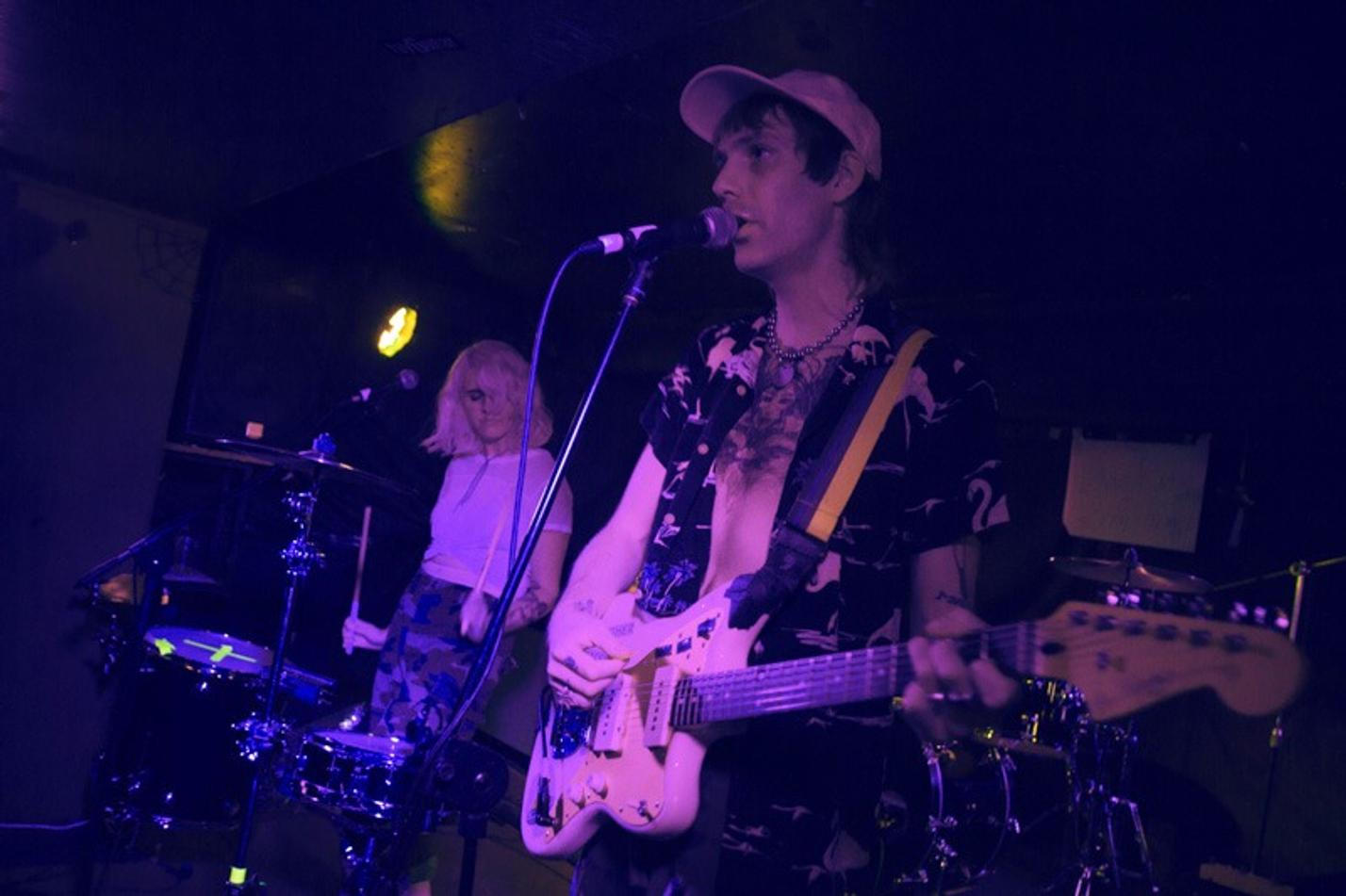 The Gooch Palms