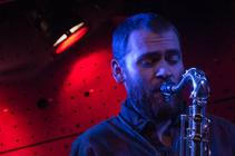 Mammal Hands-9 (1)