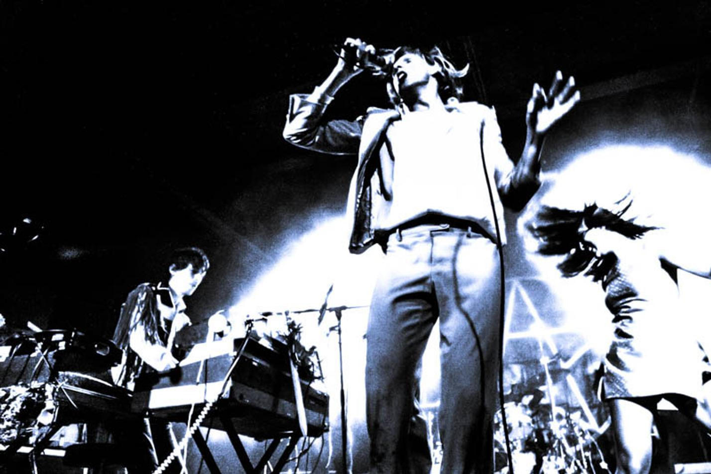 Foxygen (4)
