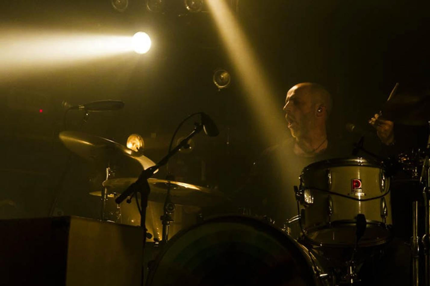 Fink (7) (1)