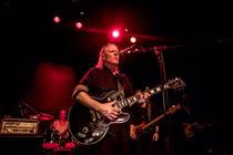 swans_07