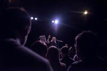 swans_05
