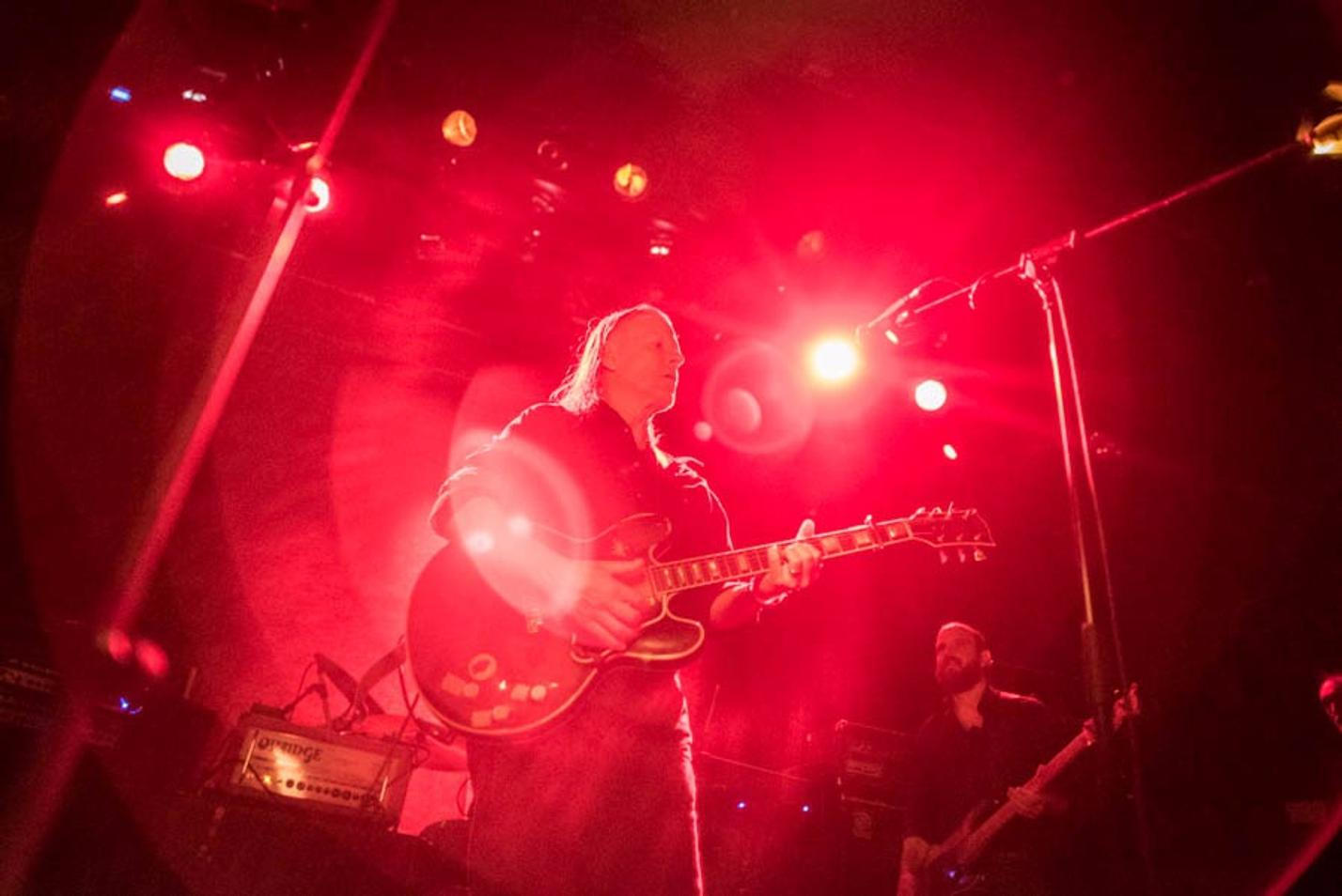 swans_03
