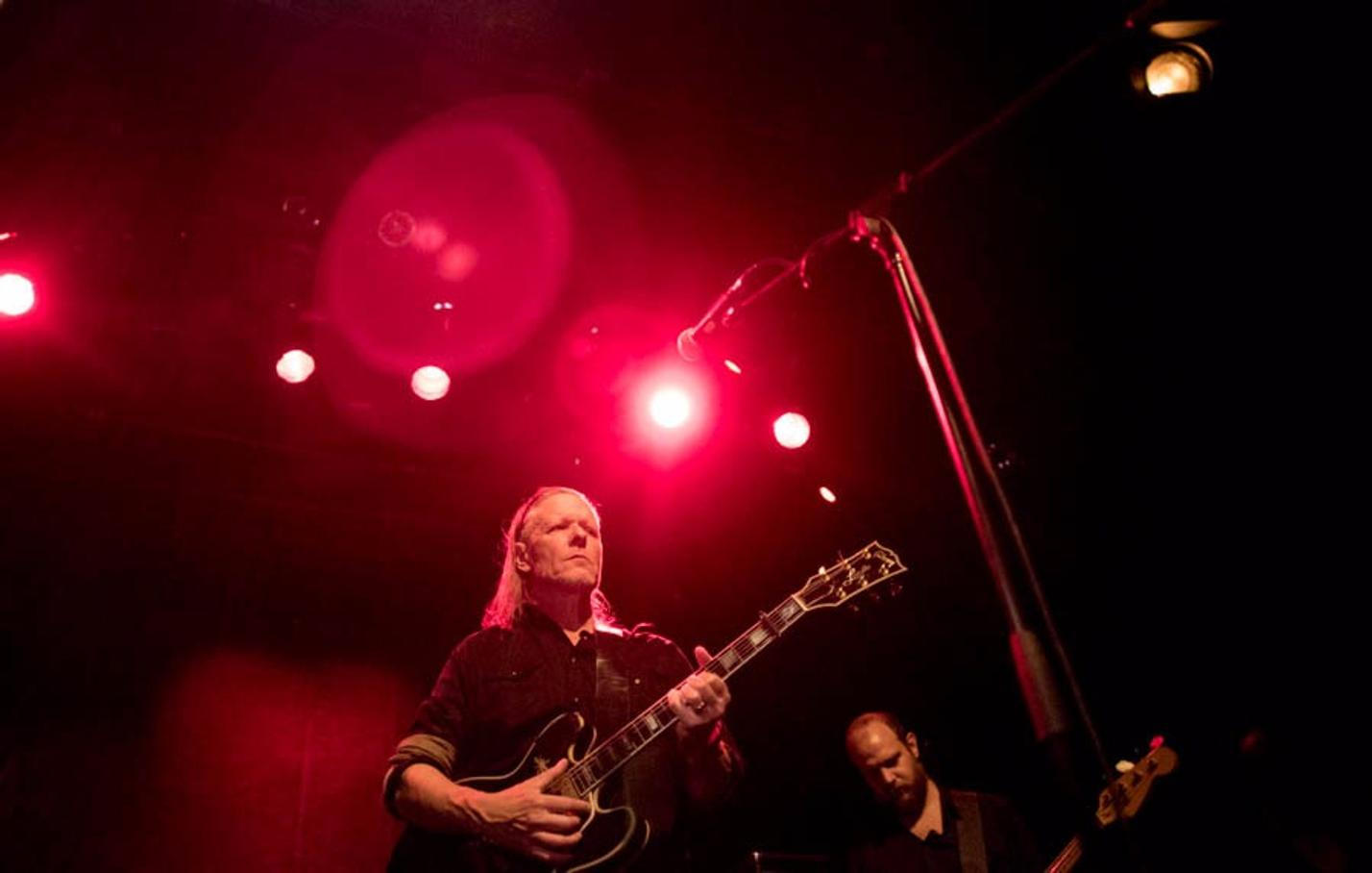 swans_01