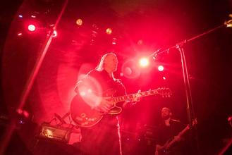 swans_03