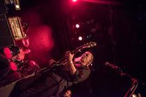 swans_04