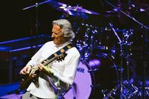 mclaughlin9