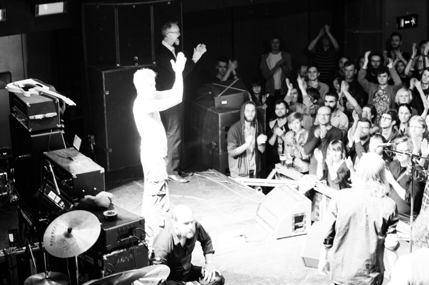 12_swans