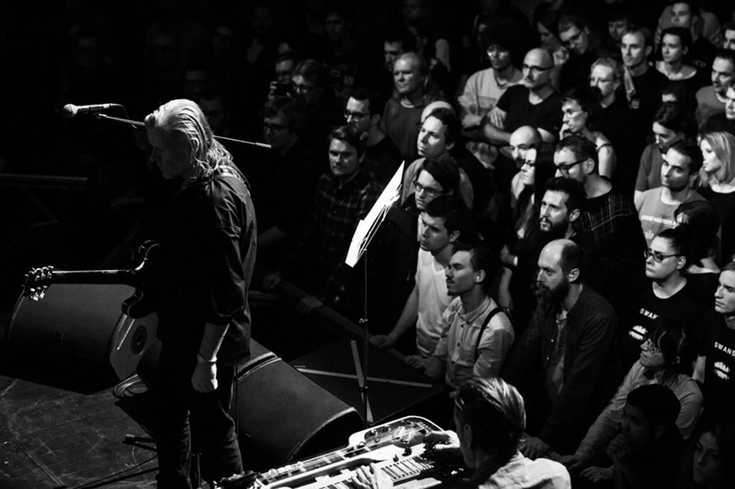 09_swans