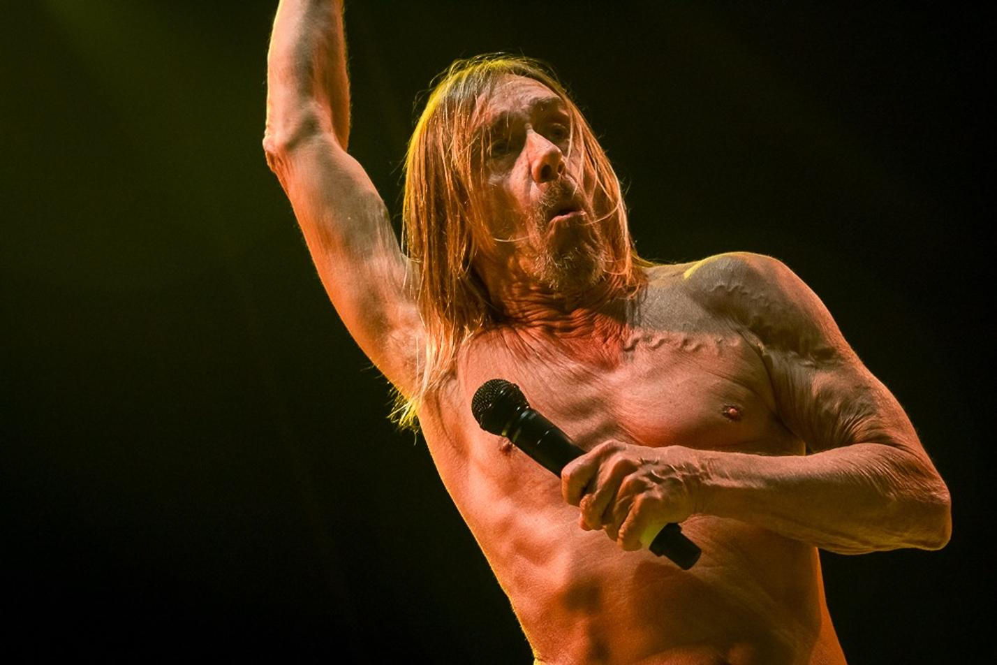 30_Iggy_Pop_Metronome_2016_Praha