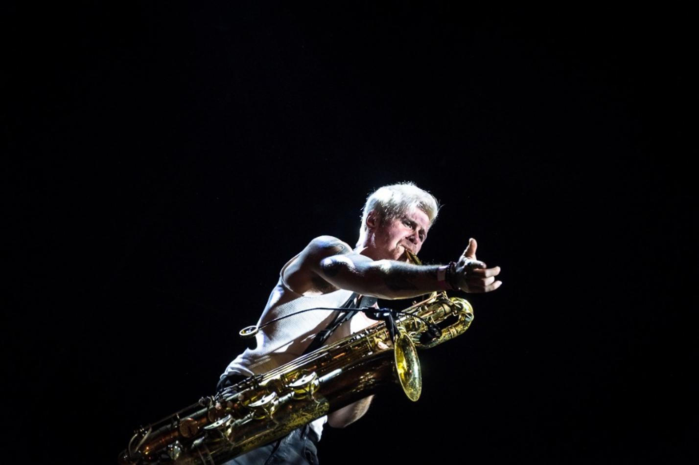 12_Too Many Zooz