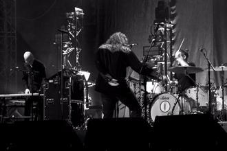 Robert Plant (15)