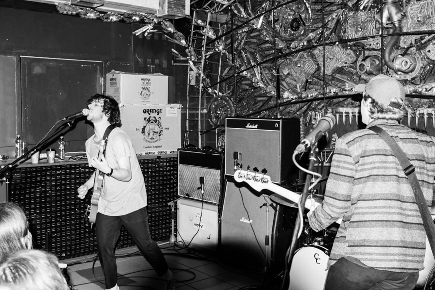 BlackFoxxes5