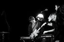 LS_AcuteDose_24032019_BW-49