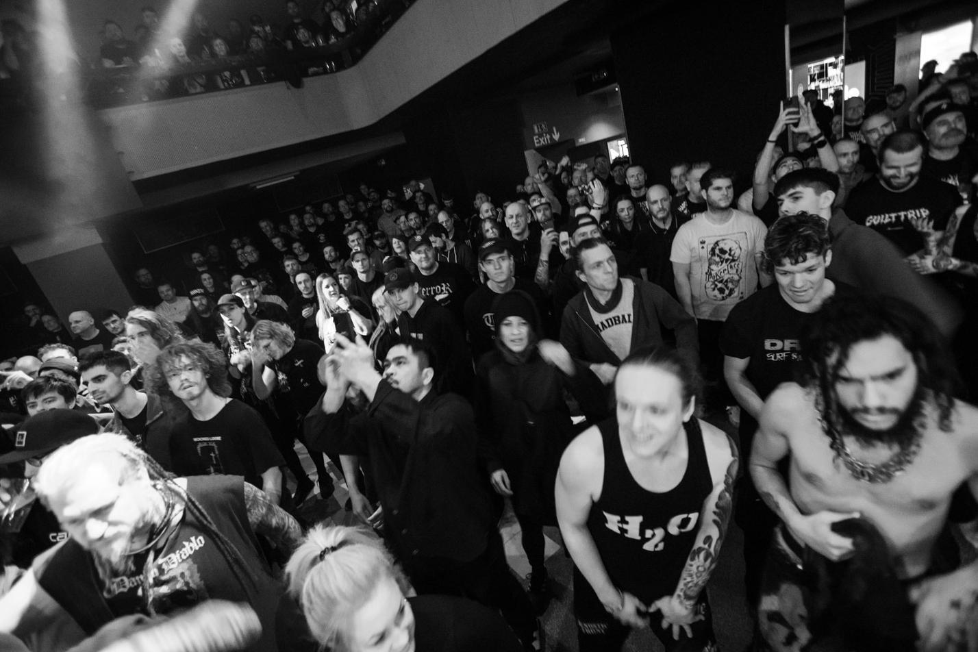 Fans (22)